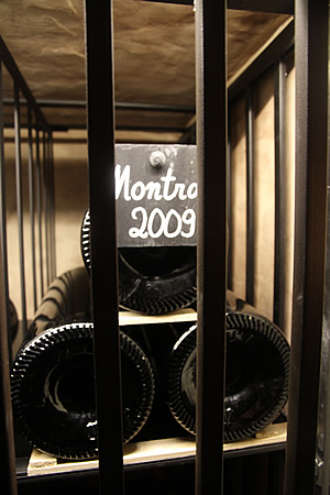 Montrose 2009, 20-points