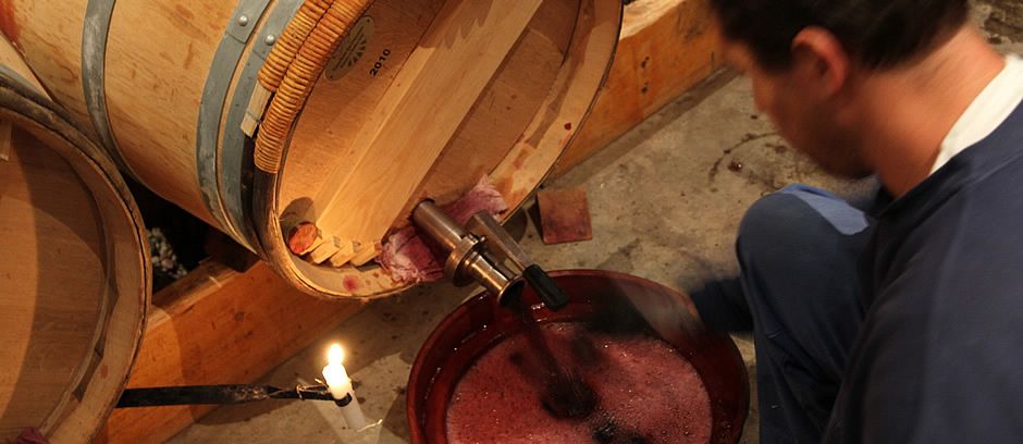 Learn about wine making (here at chateau Lafite Rothschild)