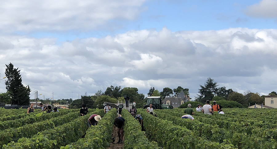 The Bordeaux Grand Cru Harvest Tour is an unforgettable experience