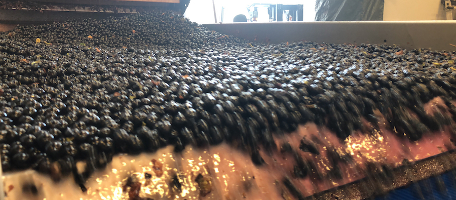 The 2018 Bordeaux Grand Cru Harvest Tour I is an unforgettable experience
