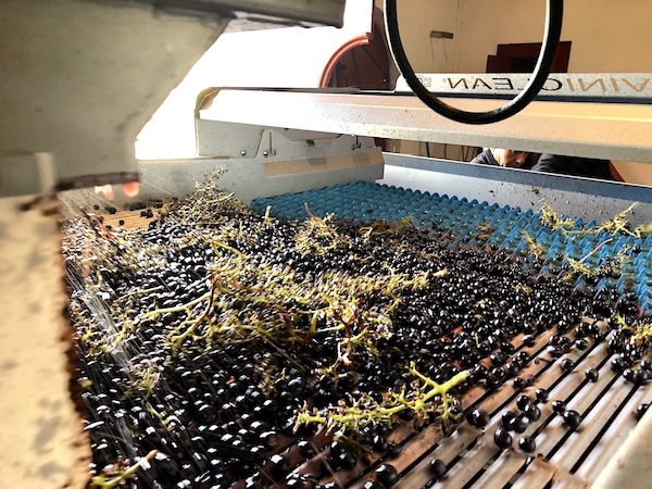 Wineries in full swing on the 2019 Bordeaux Harvest Tour 2